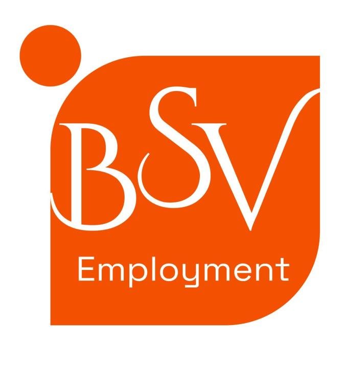 Logo - BSV Employment